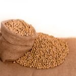 soybeans, plants, seeds, nature, bag, burlap, grain, oil, beans