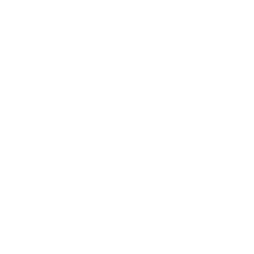 logo transpa